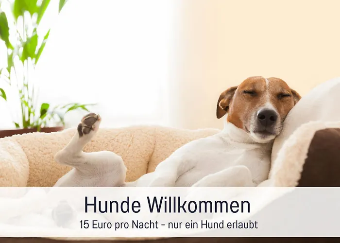 Barrierefreie Ferienwohnung Ideal Fuer Paare